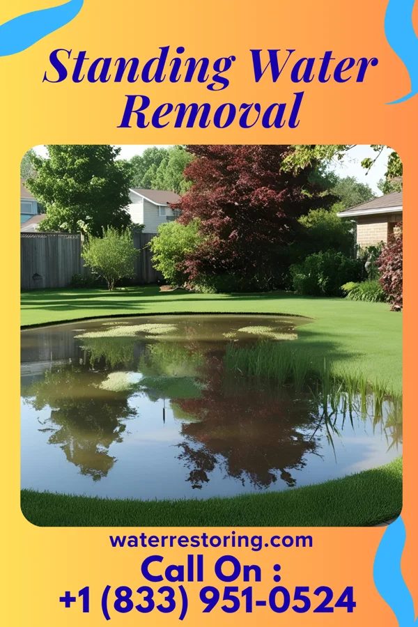 Standing Water Removal in Trenton, MO